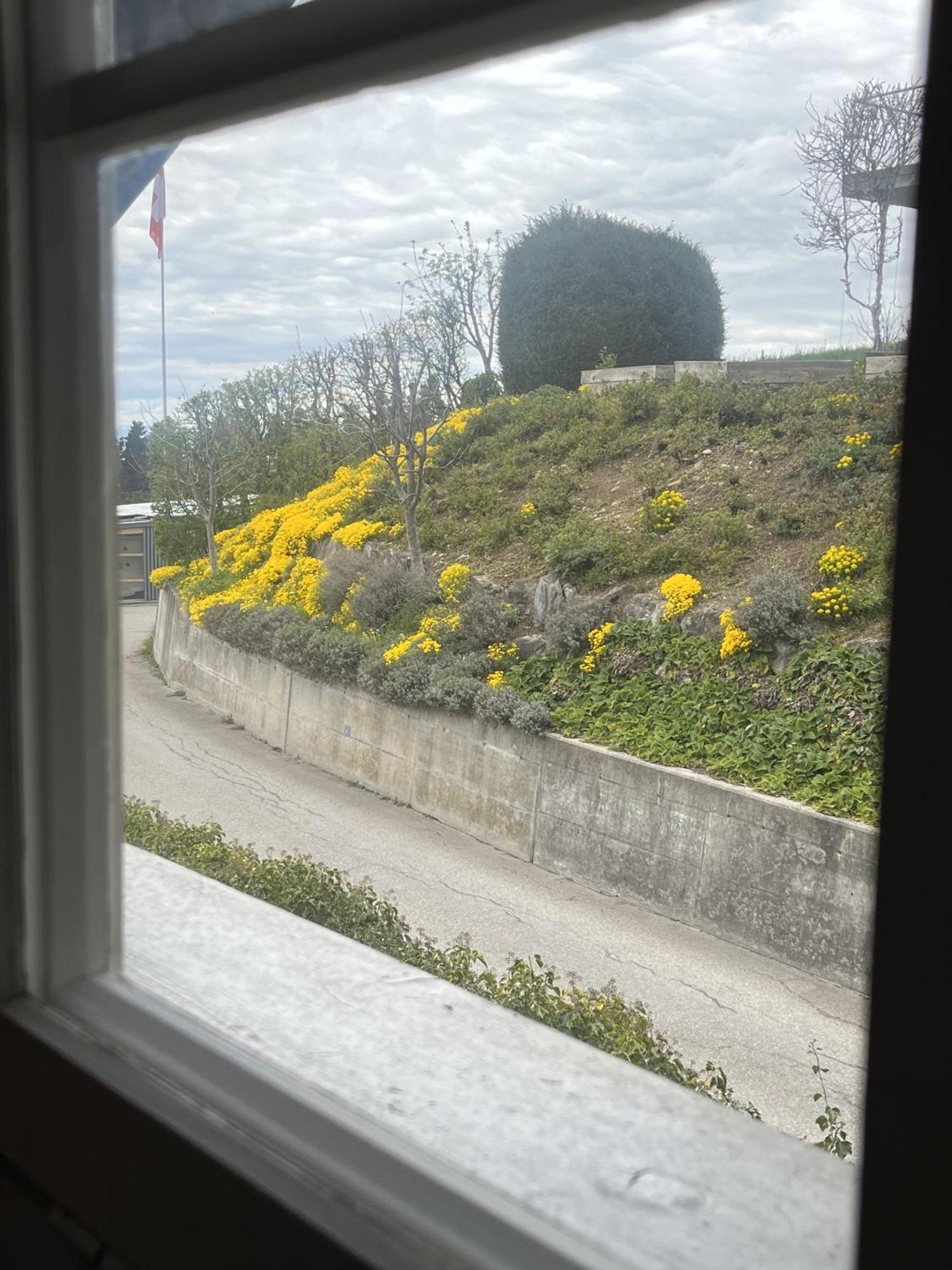 Guesthouse Sonnegg Heiligenschwendi Bagian luar foto